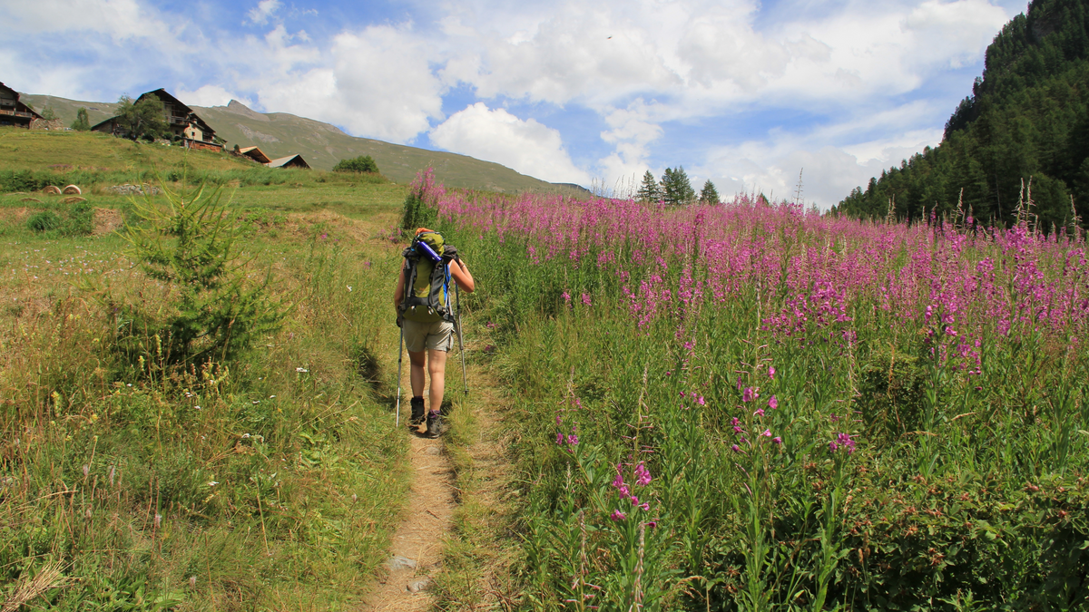 Traversée du Queyras : 4 jours de randonnée en autonomie au cœur des Alpes